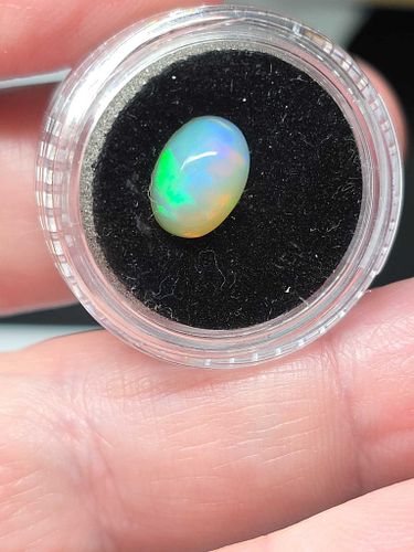 Lot #40 (1 of 13)