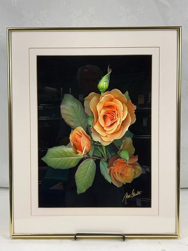 Lot #245 (1 of 4)
