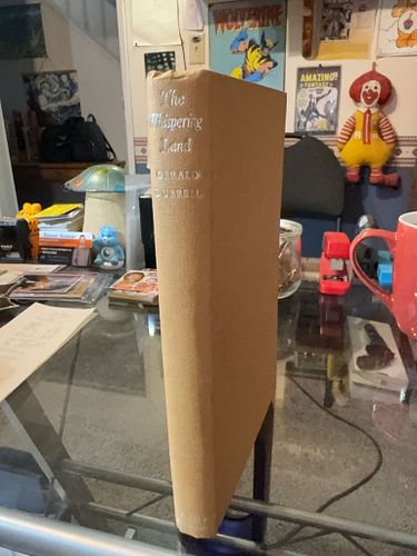 Lot #40 (1 of 11)