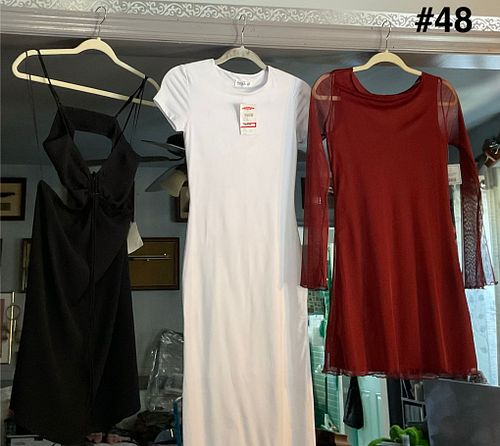 Lot #48 (1 of 4)
