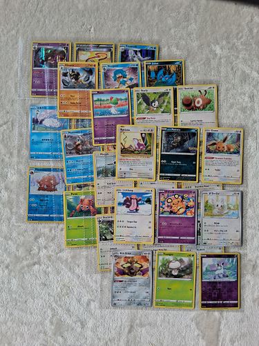 Lot #141 (1 of 6)