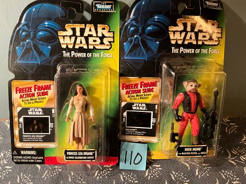 Lot #110 (1 of 13)