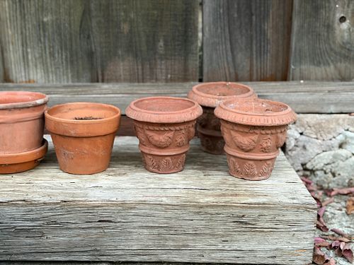 Lot #50 (1 of 4)