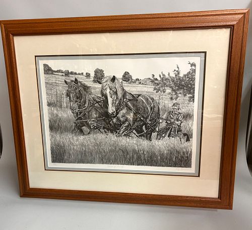 Lot #732 (1 of 14)