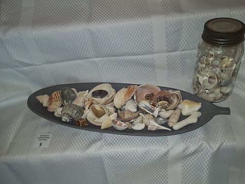 Lot #5 (1 of 4)