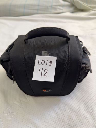 Lot #42 (1 of 10)