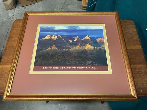 Lot #42 (1 of 3)