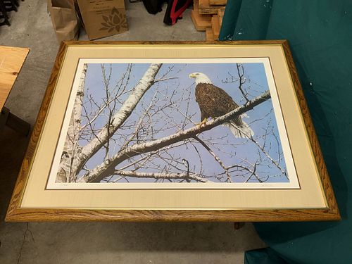 Lot #44 (1 of 5)