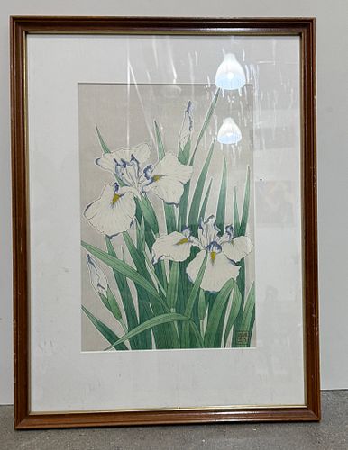 Lot #46 (1 of 6)