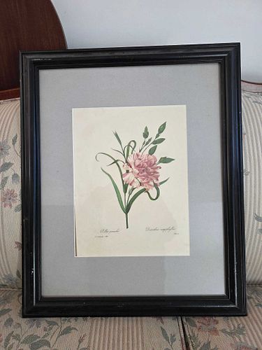 Lot #24 (1 of 4)