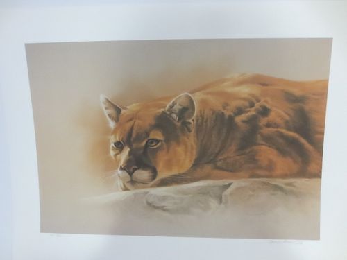 Lot #13 (1 of 3)