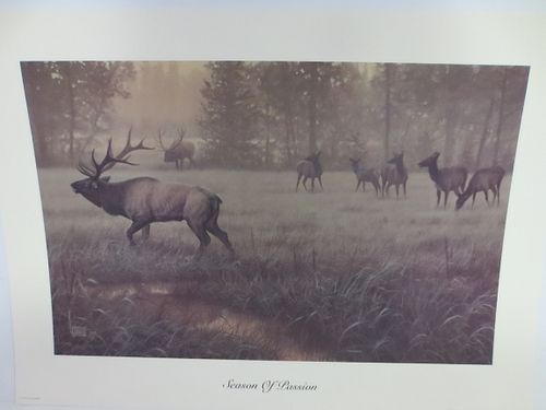 Lot #16 (1 of 3)