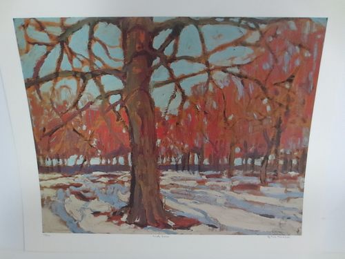 Lot #20 (1 of 3)