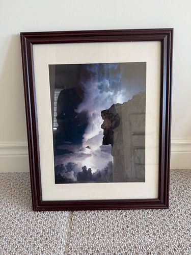 Lot #14 (1 of 7)