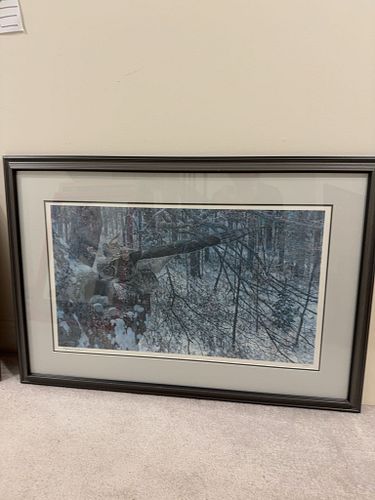 Lot #22 (1 of 5)