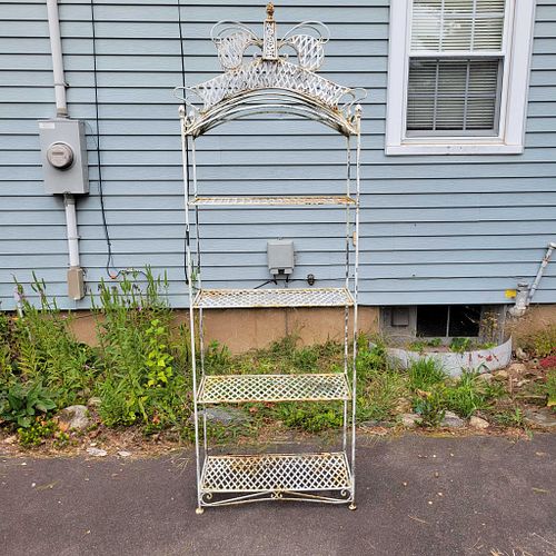 Lot #43 (1 of 5)