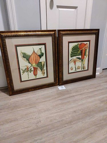 Lot #22 (1 of 6)