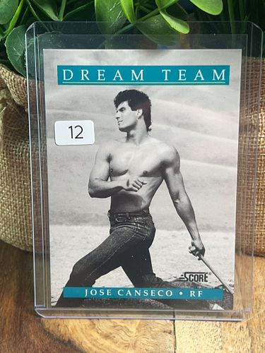 Lot #12 (1 of 2)