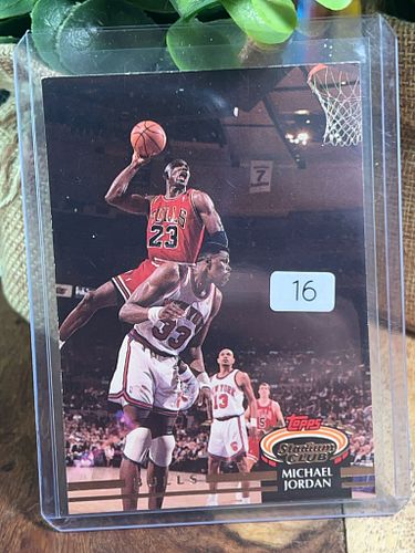 Lot #16 (1 of 2)