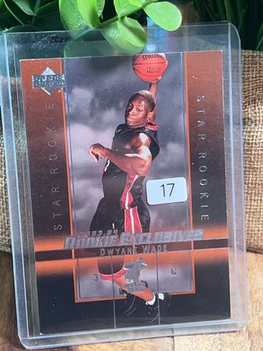 Lot #17 (1 of 2)