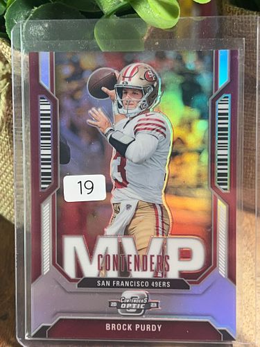 Lot #19 (1 of 2)