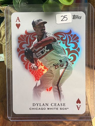 Lot #25 (1 of 2)