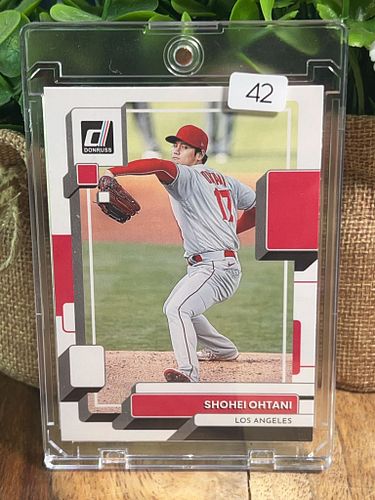 Lot #42 (1 of 2)