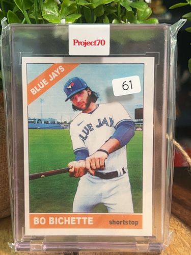 Lot #61 (1 of 2)