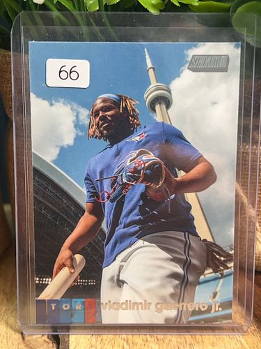 Lot #66 (1 of 2)