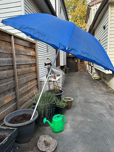 Lot #96 (1 of 6)