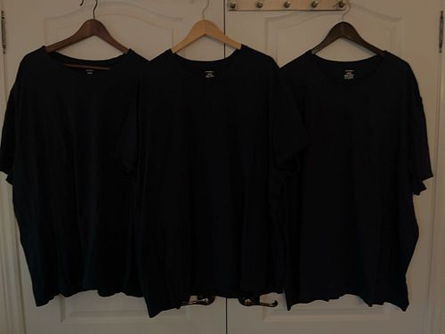 Lot #13 (1 of 3)