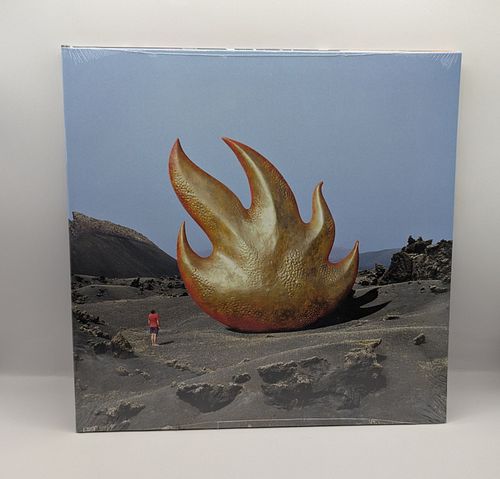 Lot #8 (1 of 3)