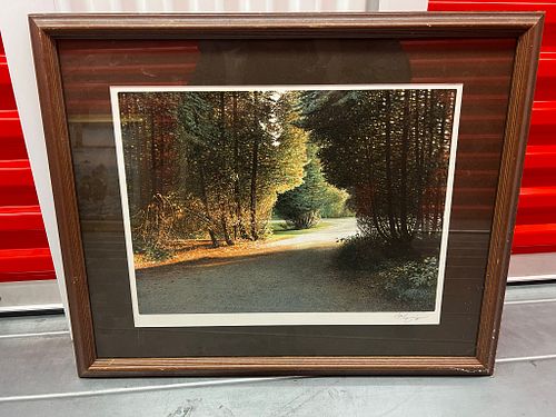 Lot #43 (1 of 3)