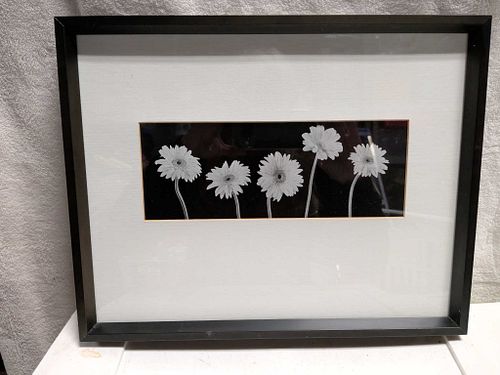Lot #15 (1 of 3)