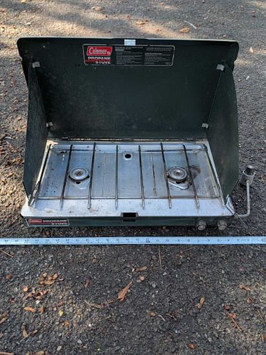 Lot #48 (1 of 6)