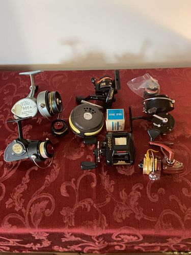 Lot #66 (1 of 8)