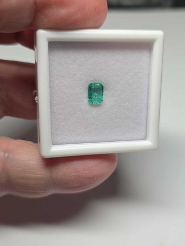 Lot #62 (1 of 12)