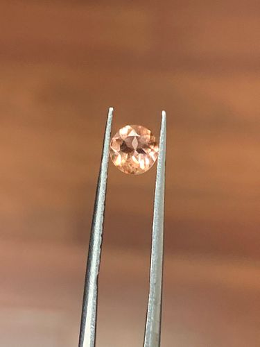 Lot #15 (1 of 4)