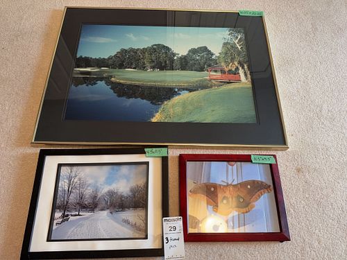 Lot #29 (1 of 5)