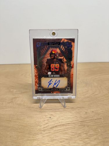 Lot #91 (1 of 4)