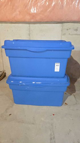 Lot #489 (1 of 3)