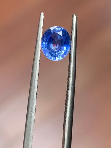 Lot #16 (1 of 6)