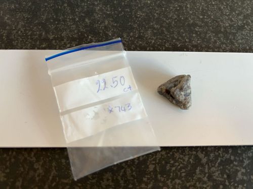 Lot #45 (1 of 3)