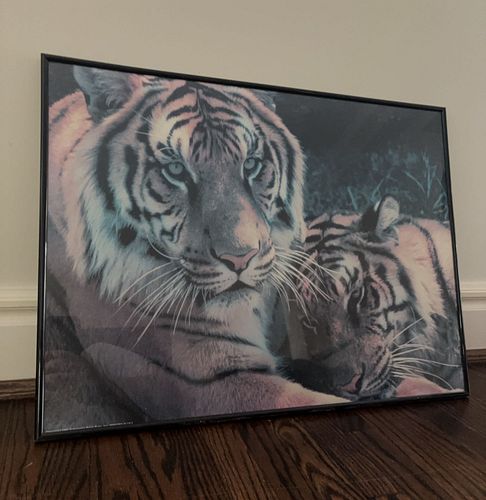 Lot #49 (1 of 3)