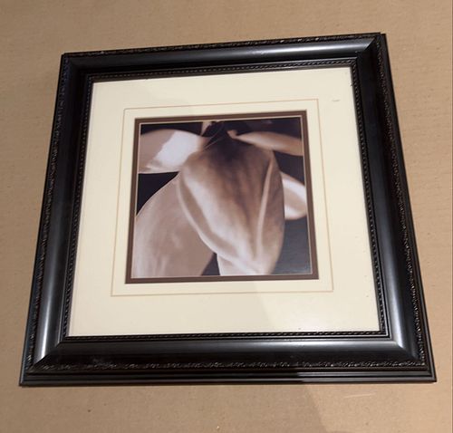 Lot #67 (1 of 4)