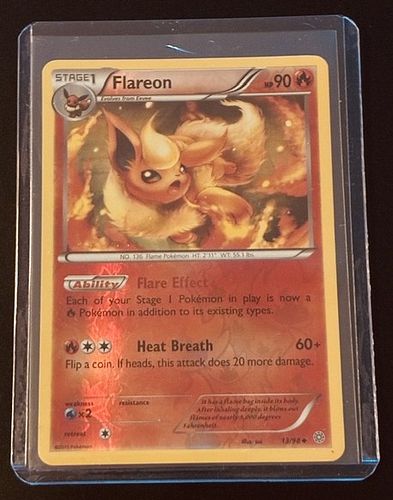 Lot #214 (1 of 3)