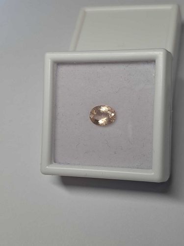 Lot #19 (1 of 8)