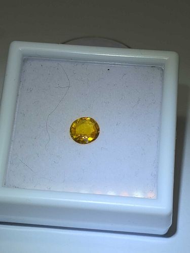 Lot #57 (1 of 10)