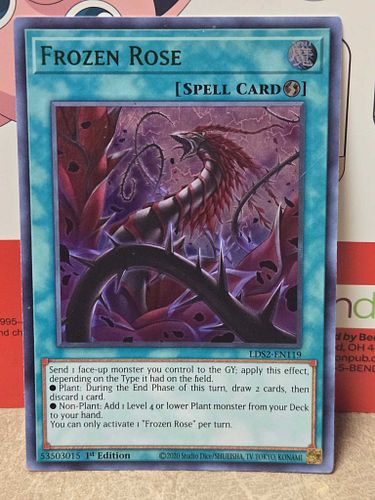 Lot #69 (1 of 4)