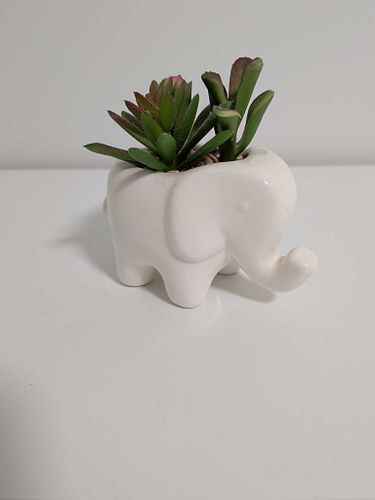 Lot #45 (1 of 6)